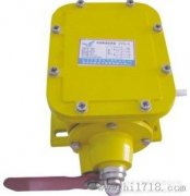 防爆型撕裂開(kāi)關(guān) DBX-100，撕裂保護(hù)裝置工程案例