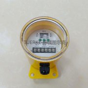 廠家批發(fā)打滑欠速開關YHDH-Z欠速檢測裝置