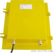 EXLDM-X溜槽堵塞保護(hù)裝置，220VLDM-E防爆溜槽堵塞檢測器